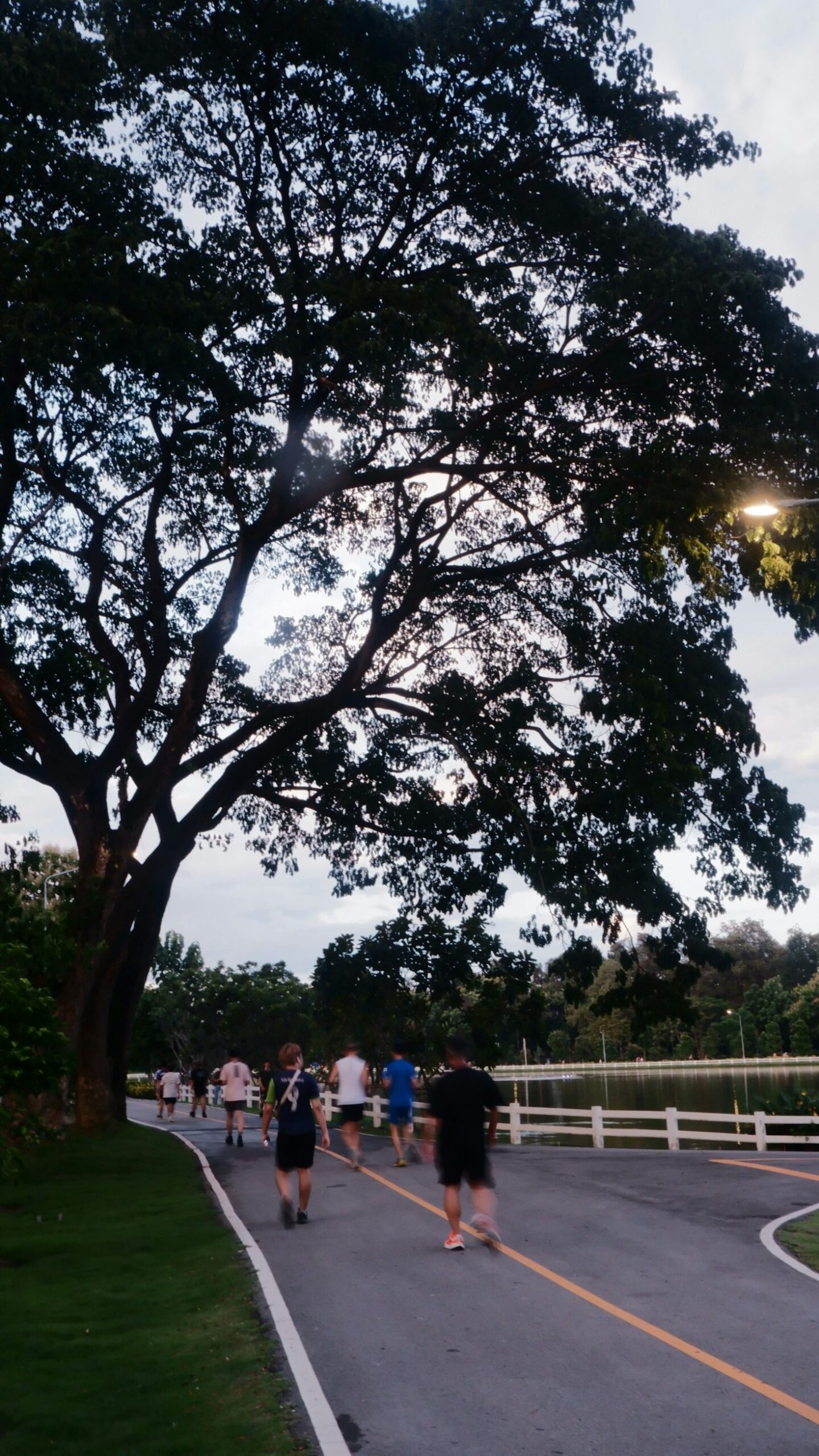 How Running Changed My Life: Inspiring Stories